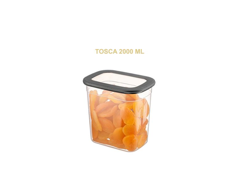 TOSCA Set 12 recipiente alimentare - Antracit