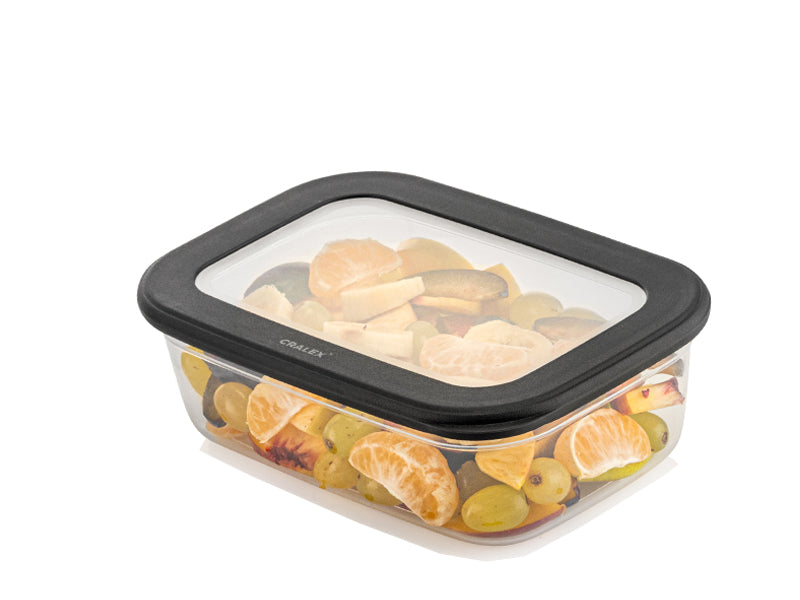 TOSCA Set 4 recipiente alimentare dreptunghiulare-Antracit